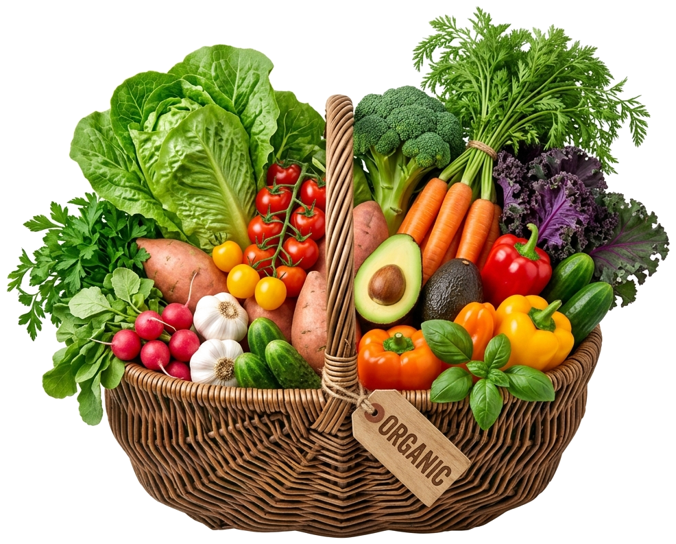 Fresh Organic Vegetables & Fruits