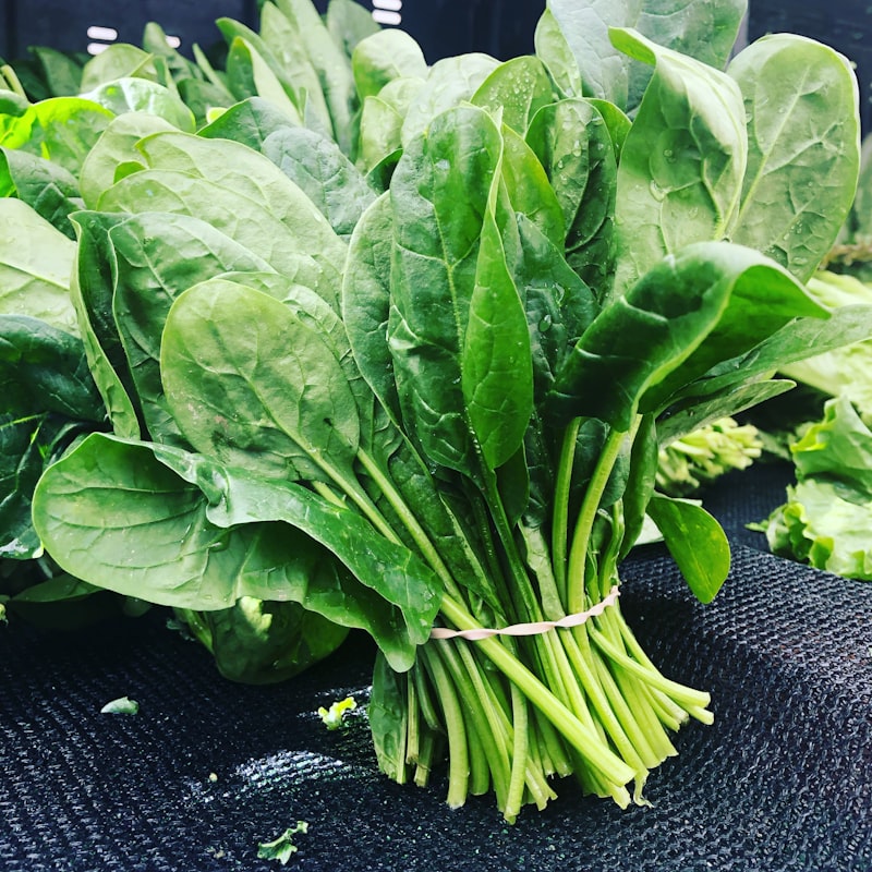 Farm Spinach